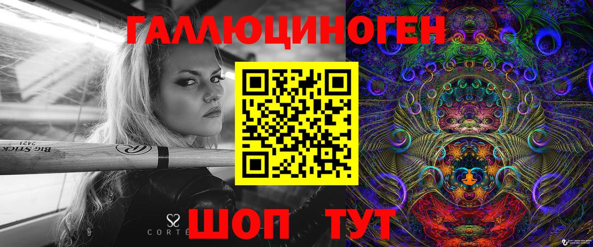 Абакан  Галлюциногенные грибы прущие грибы  Вход с VPN 